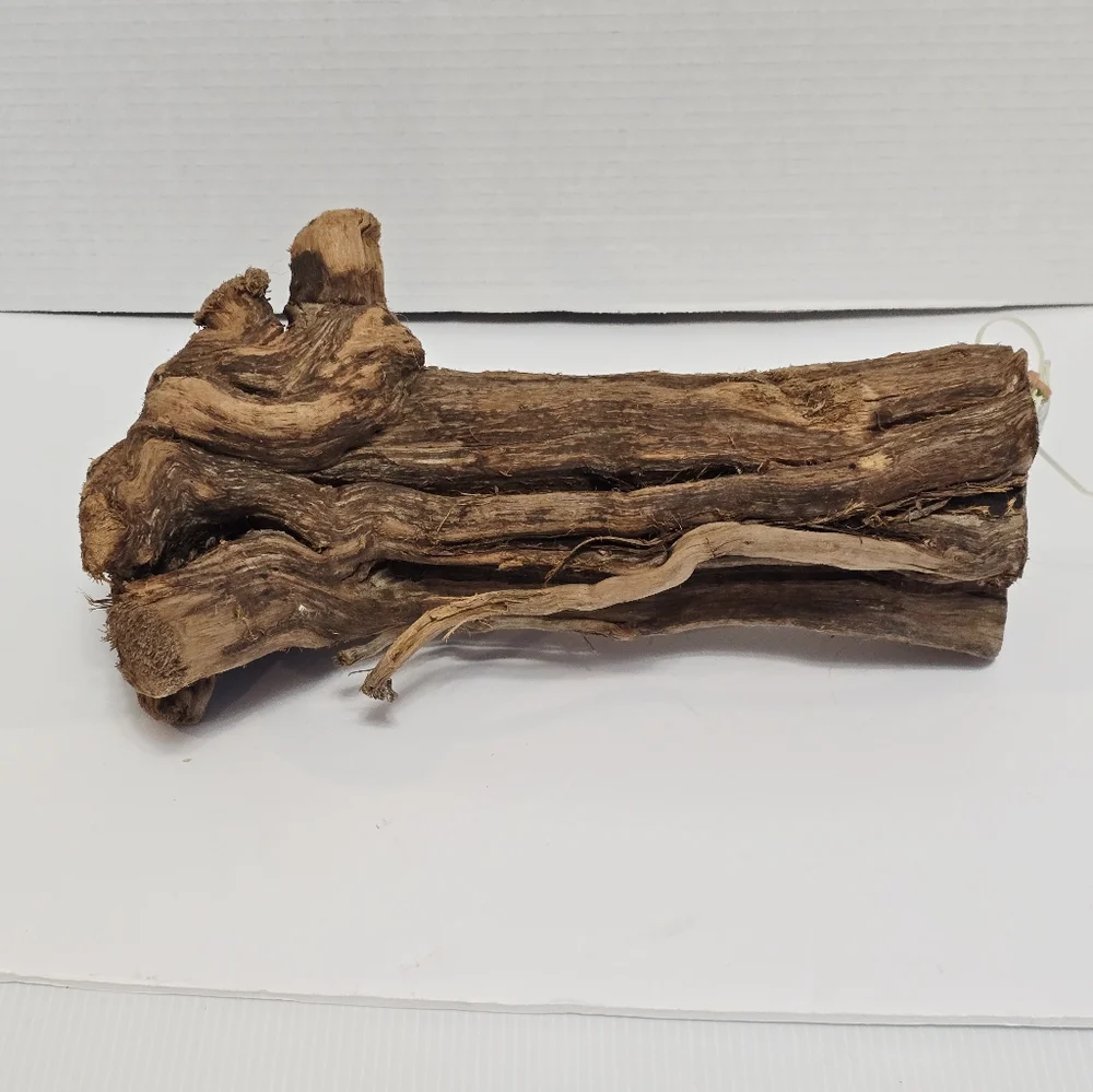 All Living Things Reptile Driftwood